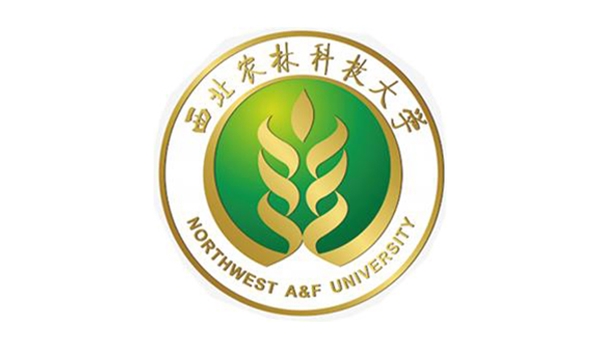 合作客户